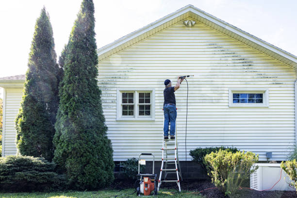 Best House Pressure Washing  in Mountain City, GA