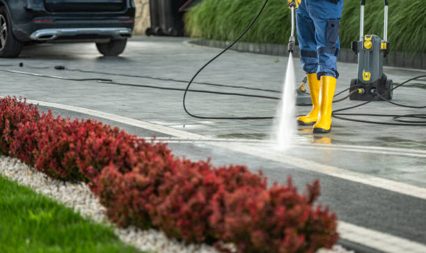 Best Roof Pressure Washing  in Mountain City, GA